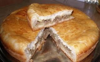Pie with chicken and potatoes in the oven Pie with chicken cheese and potatoes