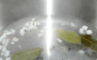 Chanterelle na sopas: recipe na may mga larawan