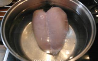 Polievka s kuracím mäsom a cuketou: recept s fotografiami krok za krokom Poznámka pre hostesku